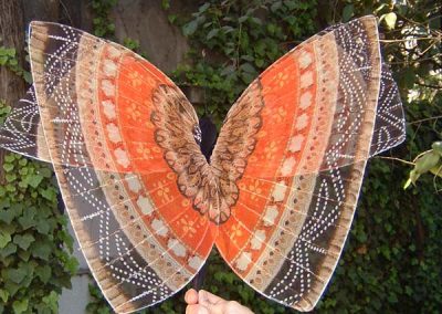 Proyecto Mariposas / Boda